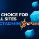 DirectAdmin vs cPanel