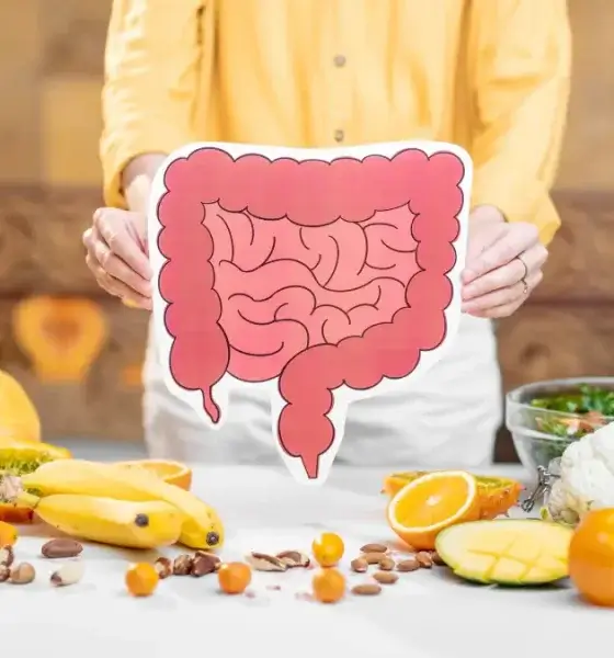 Collagen and Gut Health