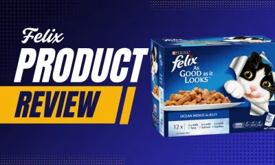 felix cat food
