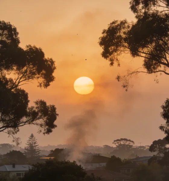A hazy orange-gold sky over Australian gum trees and a low suburban skyline in bushfire season