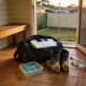 A small dark sports bag standing open by the back door of an ordinary Australian home in warm late afternoon light, a folded plain white and navy sports shirt inside it, a pair of muddy boots beside it on the tiled floor, a ventilated case with a teal mouthguard inside and a plain water bottle nearby, a timber bench behind and a flyscreen door ajar onto a backyard with a Hills hoist clothesline