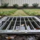 An outdoor drainage grate set into the lawn of an ordinary Australian backyard on a wet overcast day, seen from standing height looking down and slightly across: a square galvanised grate with a shallow fall of water still sitting in it and a few dead leaves and lawn clippings caught on the bars, damp dark soil around the frame, buffalo lawn running to the edge of the frame, a garden bed of low shrubs and a paling fence soft and out of focus in the middle distance