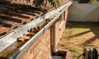The eave line of a single storey Australian brick veneer house seen from the garden in late afternoon light, galvanised guttering holding shallow water with dry broad leaves and seed pods along the channel above a downpipe running down the brickwork into a grated pit, a tiled roof and an overhanging gum tree branch above, with dry lawn, a paling fence and a hose reel at the edge of frame