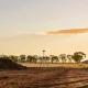 A cleared paddock on the edge of an Australian country town in the late afternoon, seen from ground level looking across the site: bare turned earth in the foreground with a low ridge of stockpiled soil to one side, a single plain portable survey tripod carrying a plain receiver standing in the middle distance with no markings on it, a line of bare timber fence posts running away to the right, a belt of eucalypts along the far boundary in soft focus and dry golden grass at the margins, under a wide clear sky with a thin band of cloud catching the low warm light